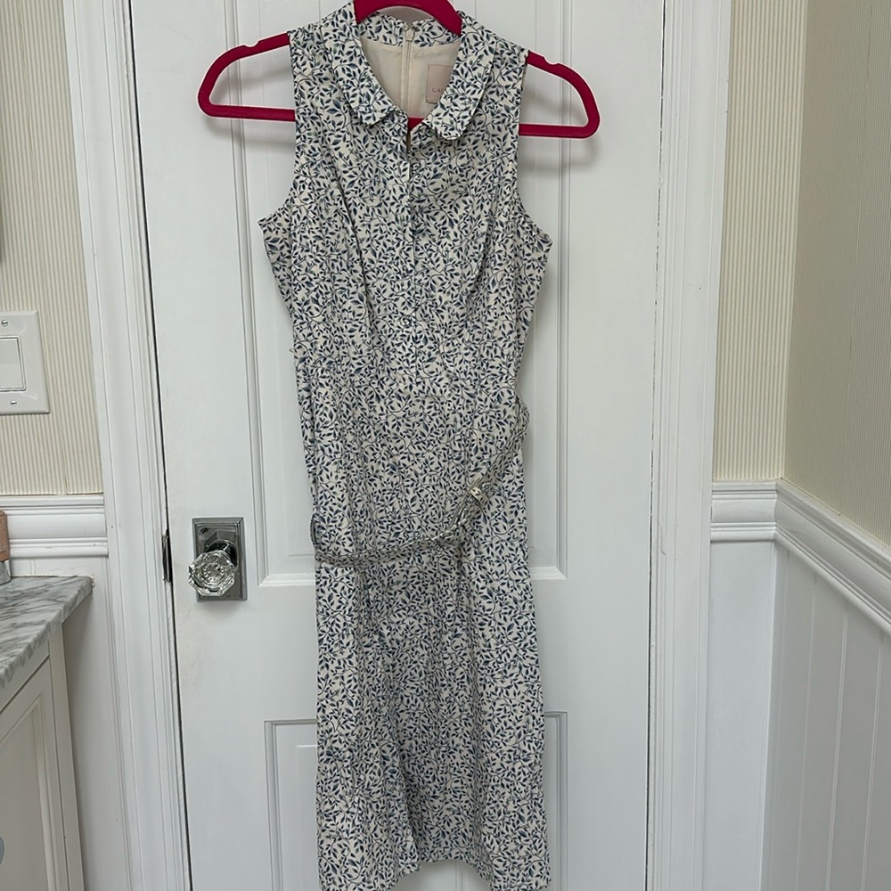 Gal Meets Glam Rose Floral fit and flare dress, size 4P